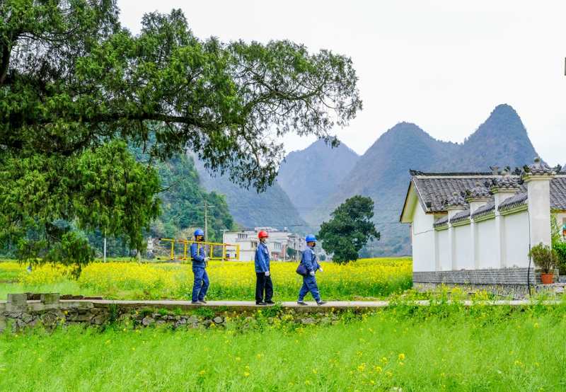平塘供電局：“網(wǎng)格化”服務(wù)，護(hù)航“菜籃子”