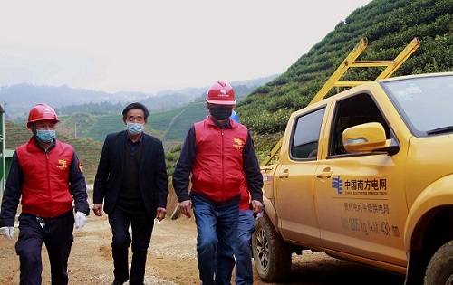 平塘供電局：“加減法”同構(gòu)服務(wù)，護(hù)航“貴州春茶第一壺”