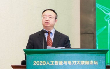 國(guó)家電網(wǎng)有限公司大數(shù)據(jù)中心主任、黨委副書記 王繼業(yè)：激活電力大數(shù)據(jù)價(jià)值 落實(shí)公司碳達(dá)峰碳中和行動(dòng)方案