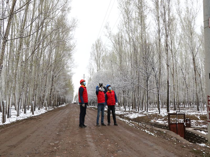 國網(wǎng)伊犁伊河供電公司四月飛雪，電力員工巡視線路保供電