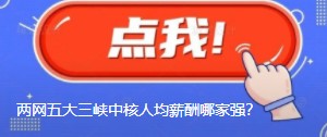 國網(wǎng)南網(wǎng)華能大唐國家能源三峽中核人均薪酬哪家強？