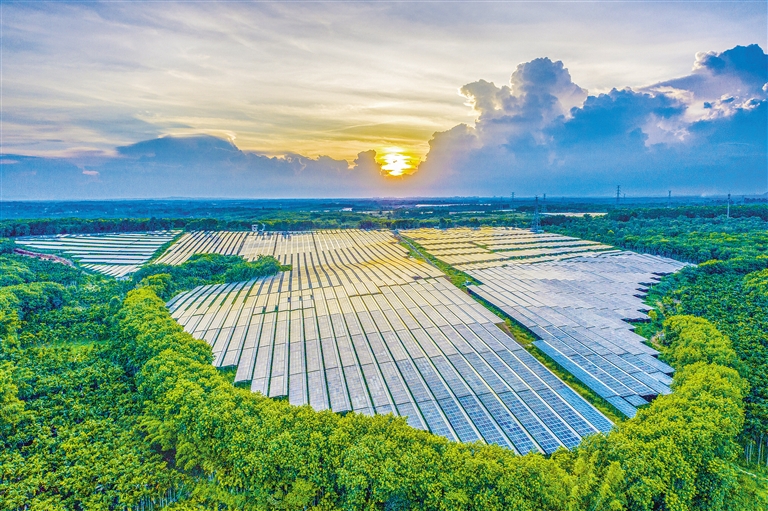 海南電網(wǎng)公司加快構(gòu)建現(xiàn)代供電服務(wù)體系，驅(qū)動鄉(xiāng)村振興電力引擎