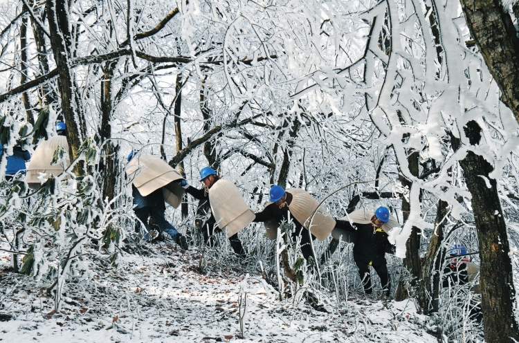 【新春滿(mǎn)能量 央企“不打烊”】“披氈戰(zhàn)隊(duì)”冰山護(hù)電