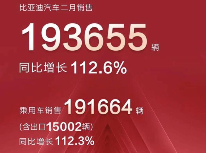 2月新能源車企成績單出爐，比亞迪一騎絕塵