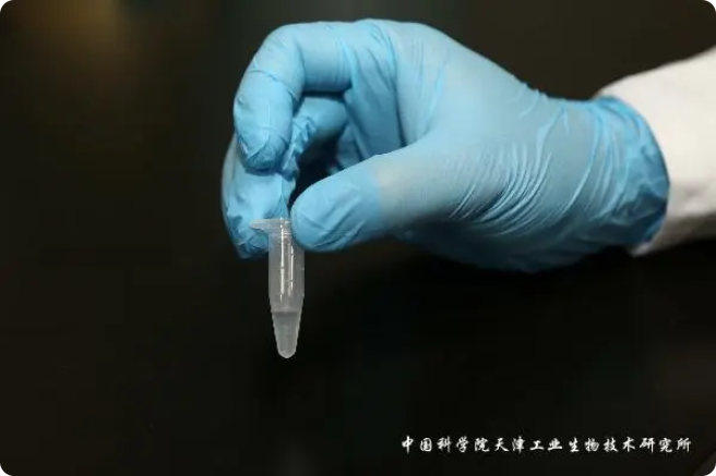 二氧化碳“變身”糖，中國科學家實現(xiàn)重大突破!
