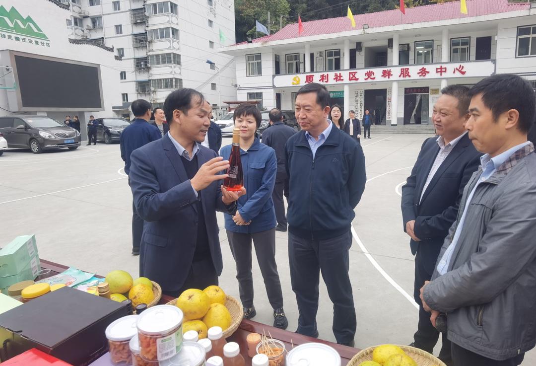 中核集團(tuán)總經(jīng)理、黨組副書記顧軍赴陜西白河、旬陽調(diào)研鄉(xiāng)村振興工作
