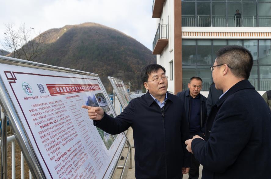 三峽集團(tuán)總經(jīng)理、黨組副書記李富民赴重慶市調(diào)研三峽集團(tuán)定點幫扶工作
